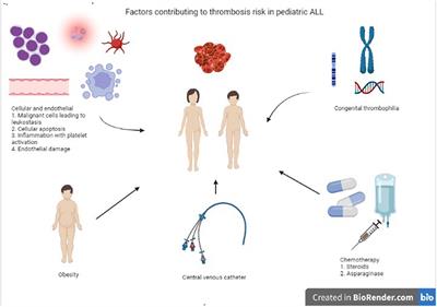 Thrombosis Complications in Pediatric Acute Lymphoblastic Leukemia: Risk Factors, Management, and Prevention: Is There Any Role for Pharmacologic Prophylaxis?